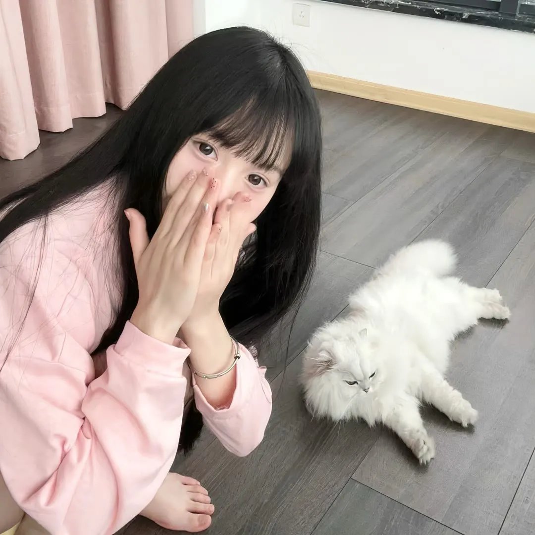 梅迪亚度假婚礼团